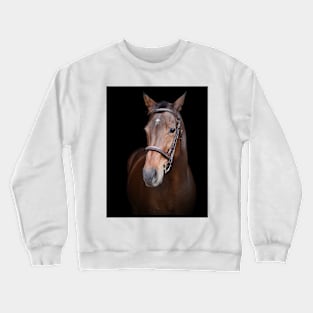 Mousquetaire Crewneck Sweatshirt